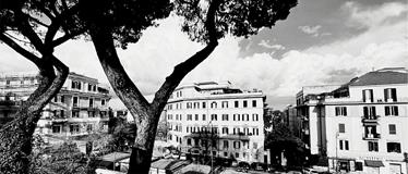 Una storia comune, interventi a parole nello spazio pubblico